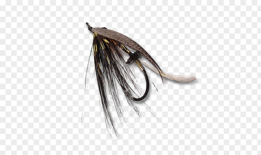 Pheasant Blue Eared White Spey Casting Feather PNG