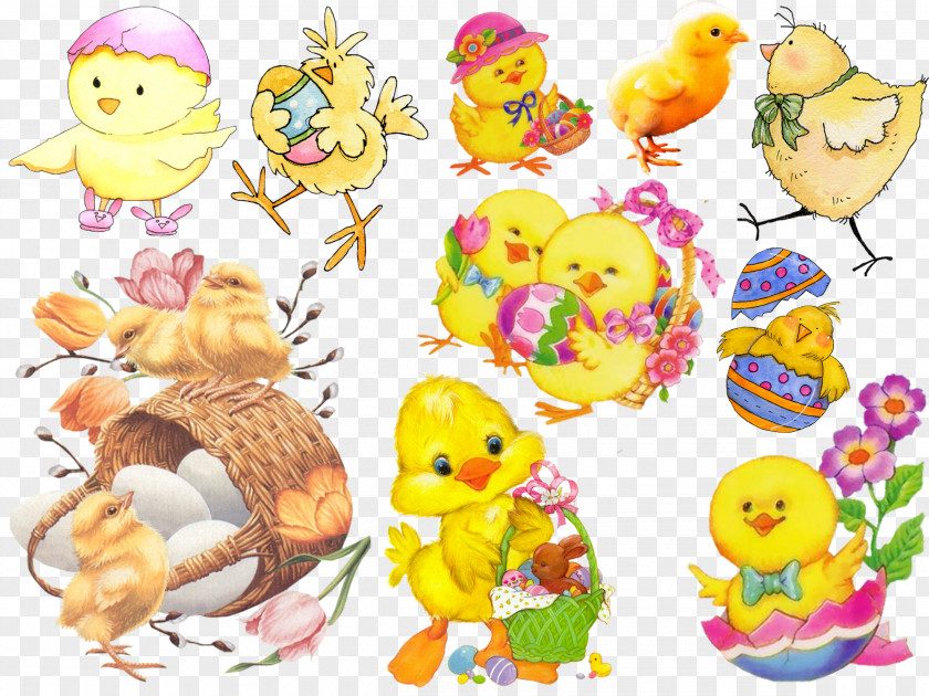 Chick Easter Clip Art PNG