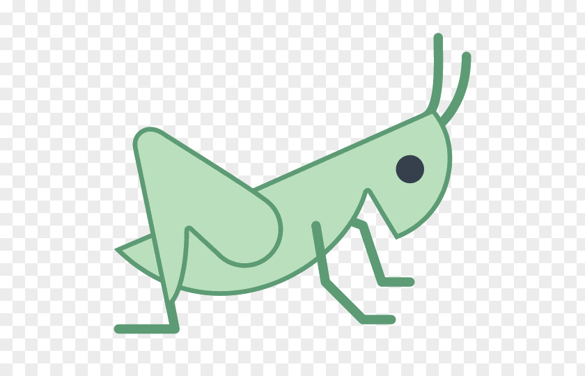 Insect Grasshopper Caelifera Clip Art PNG