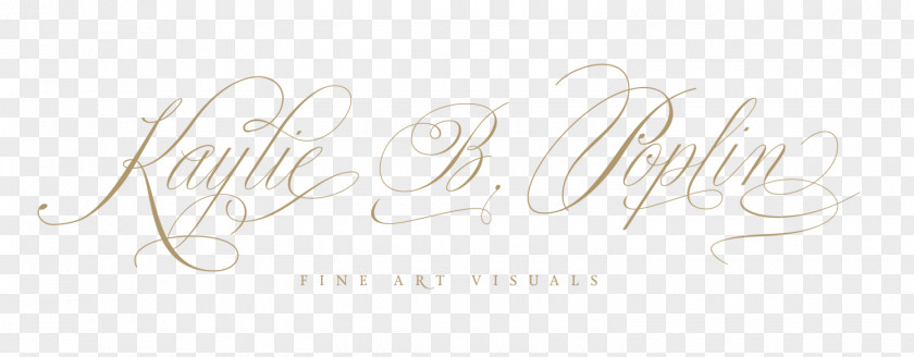 Line Logo Brand Paper PNG