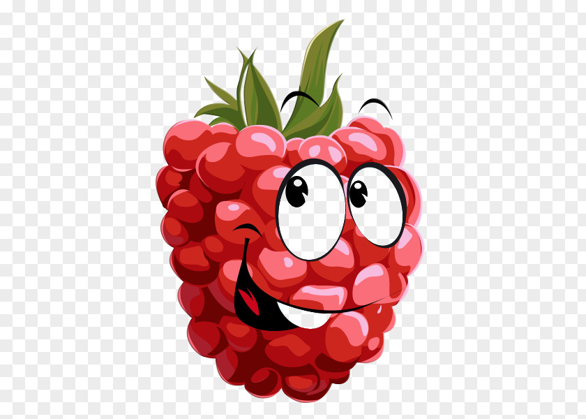 Raspberry Fruit Clip Art PNG