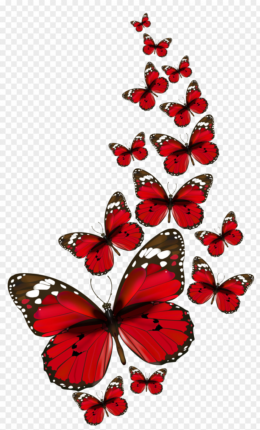 Red Butterfly Papillon Dog Clip Art PNG