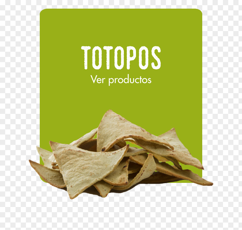 Linaza Cactaceae Nopal Barbary Fig Spanish Omelette Tortilla Chip PNG