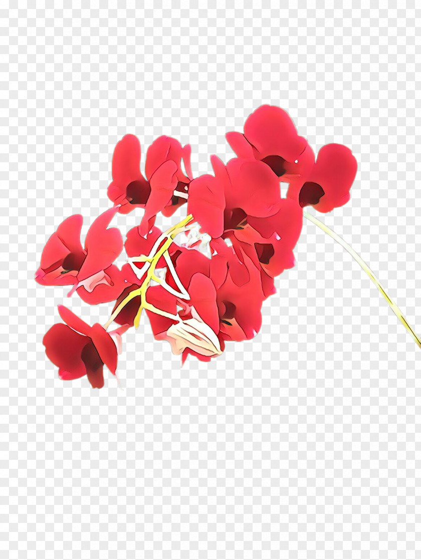 Red Flower Petal Plant Leaf PNG