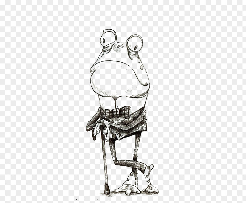 Frog The Prince Drawing Cartoon PNG