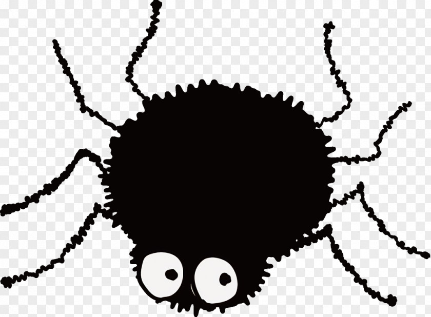 Insect Halloween Spider PNG