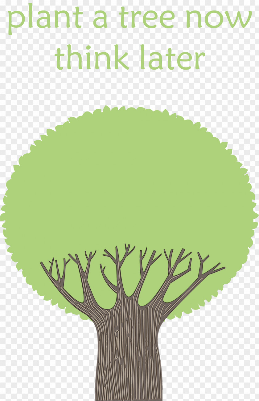 Leaf Font Green Meter Tree PNG