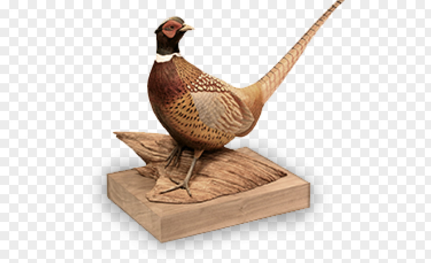 Macaw Bird Bill Rice Artwork Galliformes Chicken PNG