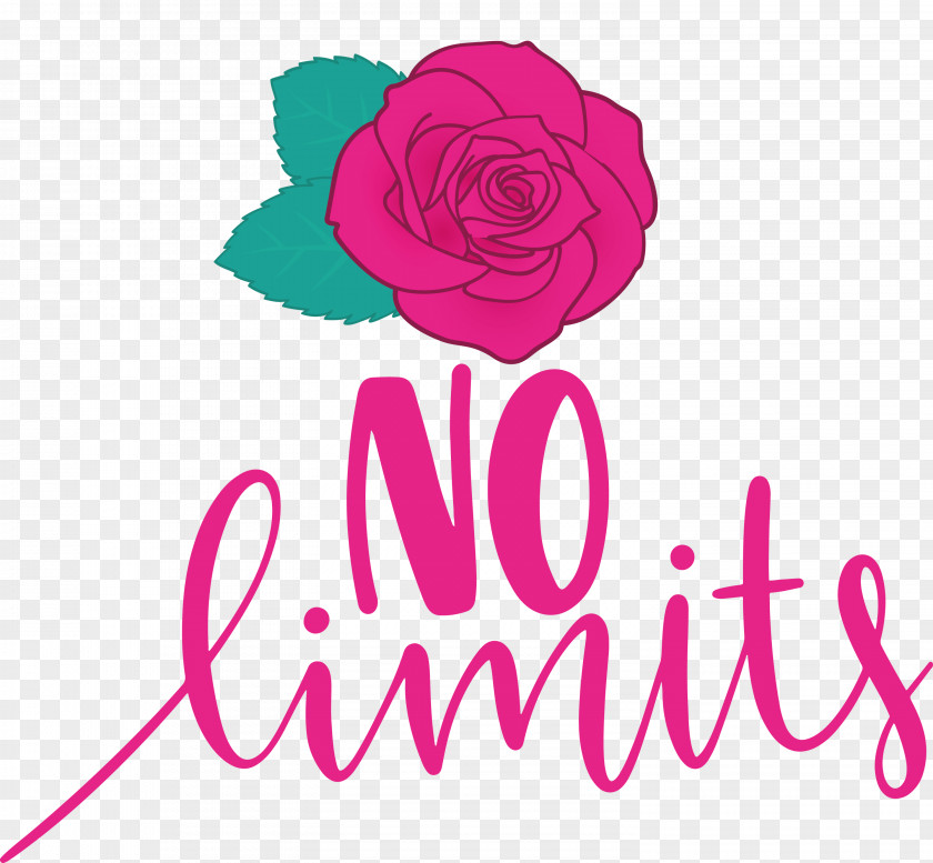 No Limits Dream Future PNG