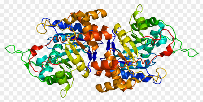 AKR1C1 Aldo-keto Reductase Enzyme HUGO Gene Nomenclature Committee PNG