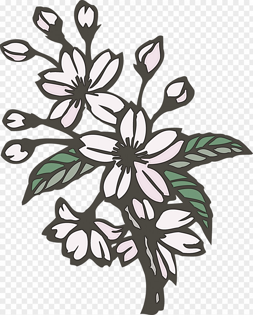 Cherry Flower Floral PNG