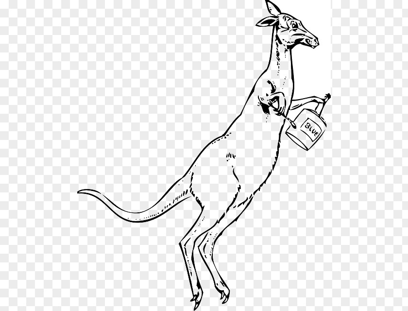 Dish Kangaroo Macropods Clip Art Cartoon Drawing PNG