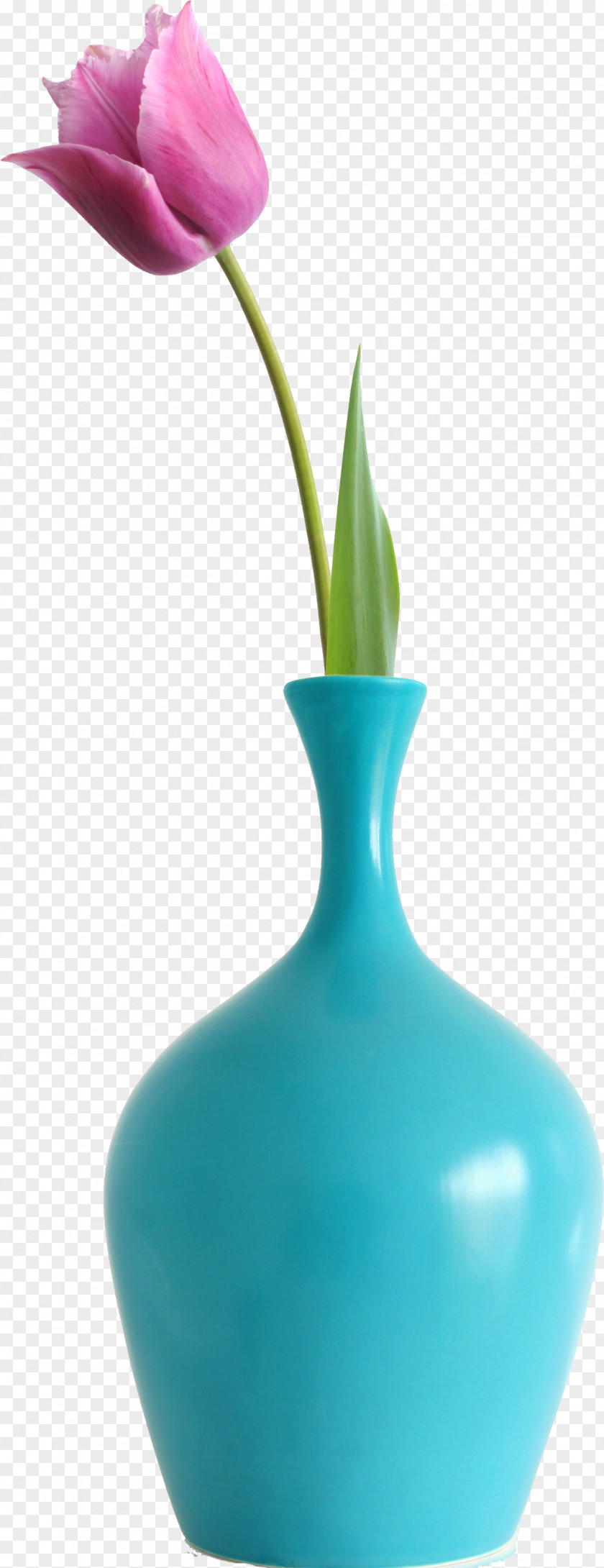 Flower Vase Photography PNG
