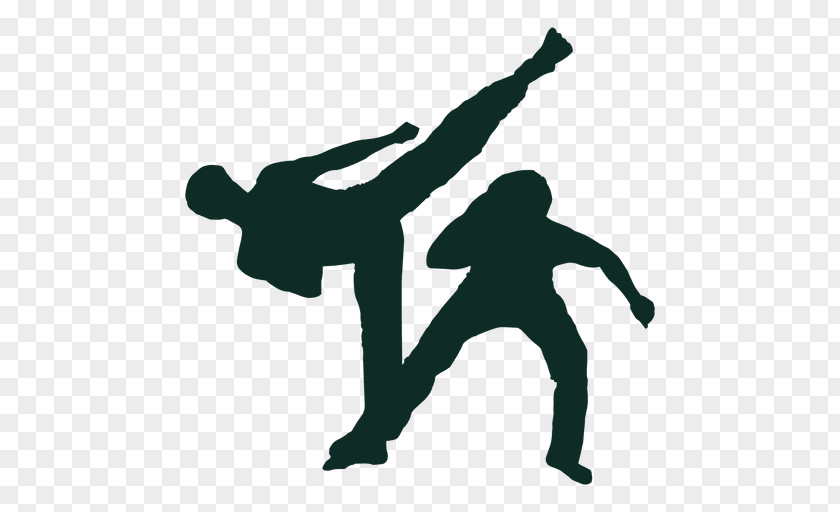 Brazilian Carnival Capoeira Martial Arts Kickboxing Bajiquan PNG