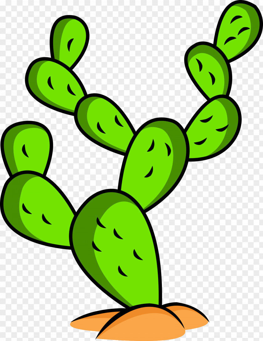 Cactus Drawing Vector Graphics Illustration Succulent Plant PNG