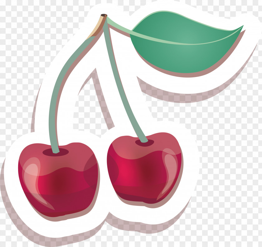 Cherry Vector Fruit PNG