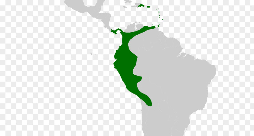 Latin America South Spanish Colonization Of The Americas Hispanic Region PNG