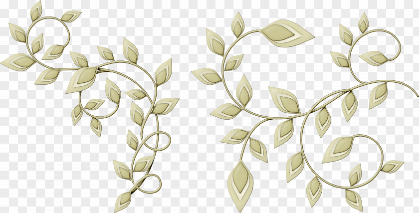 Pedicel Branch Floral Petal PNG