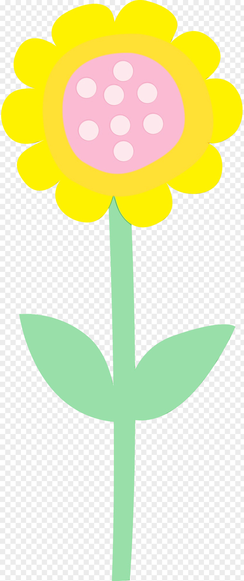 Plant Stem Wildflower Flower Petal PNG