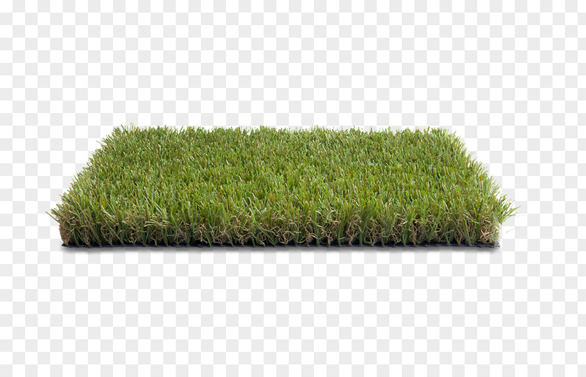 Grass Lawn Votre Pelouse Artificial Turf Garden PNG
