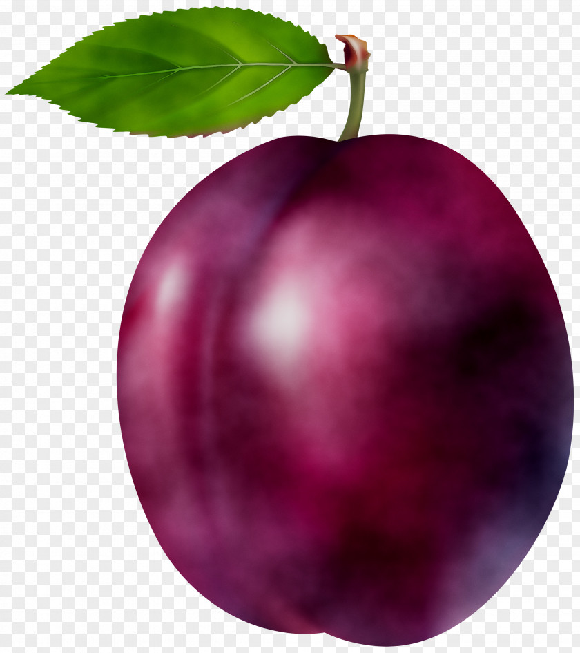 Superfood Accessory Fruit Star Apple Purple PNG
