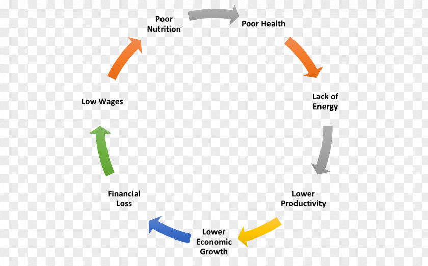 Unhealthy System Management Computer Software Life-cycle Assessment PNG