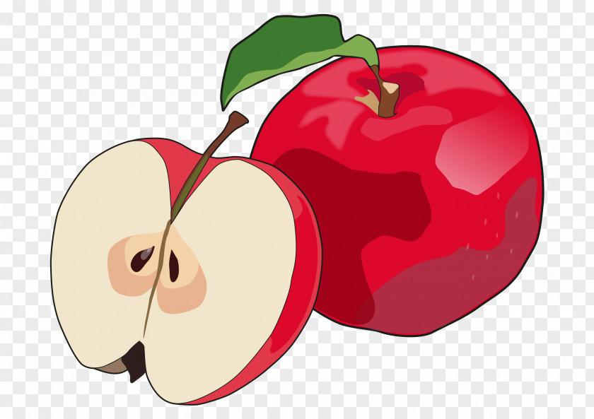 Apple Quince Cheese Food Drawing Fruit PNG