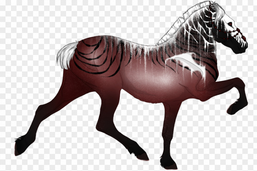 Chicken Foot Mane Mustang Pony American Paint Horse Appaloosa PNG