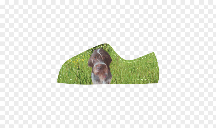 Kid-pointing Dog Breed Wirehaired Pointing Griffon German Pointer Leash PNG