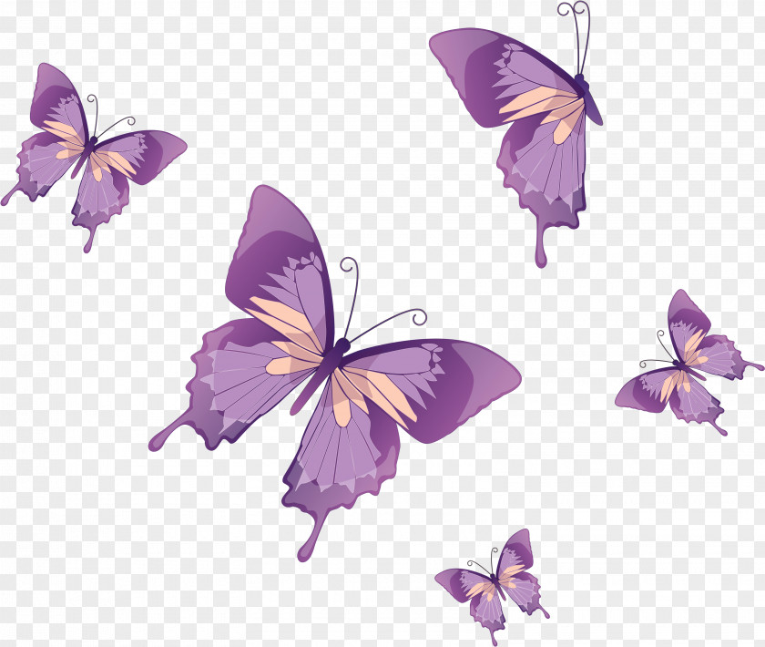 Lycaenid Pieridae Flower Purple PNG