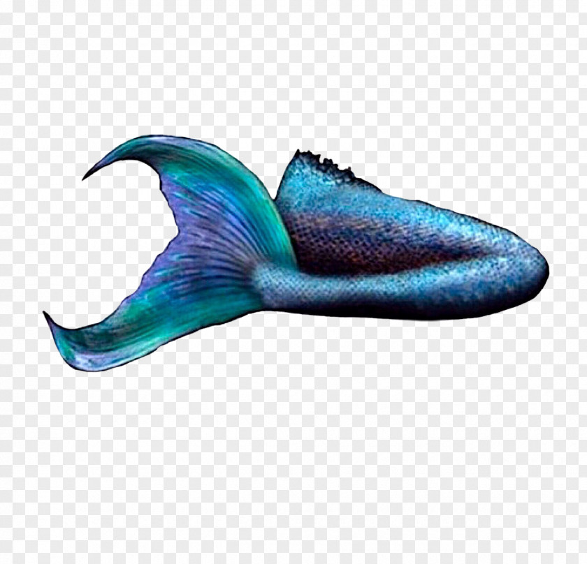 Mermaid Fin Tail Merman PNG
