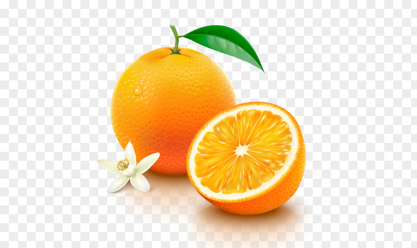 Orange Fruit Juice Nutrient Vitamin C PNG