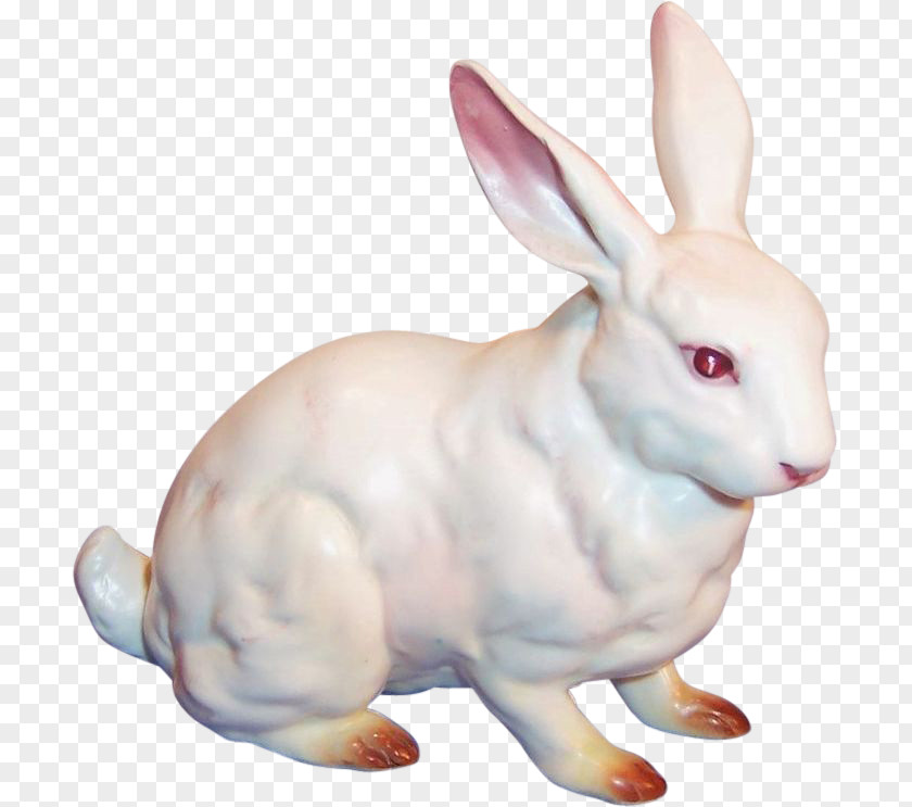 Rabbit Domestic Easter Bunny Snowshoe Hare Porcelain PNG