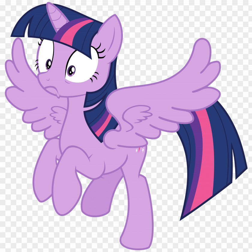 Unicorn Pony Twilight Sparkle Rarity Tempest Shadow Winged PNG