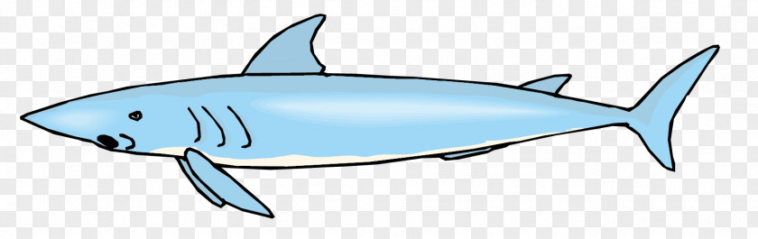 Big Blue Shark Vector Material Requiem Marine Biology Mammal Fin PNG