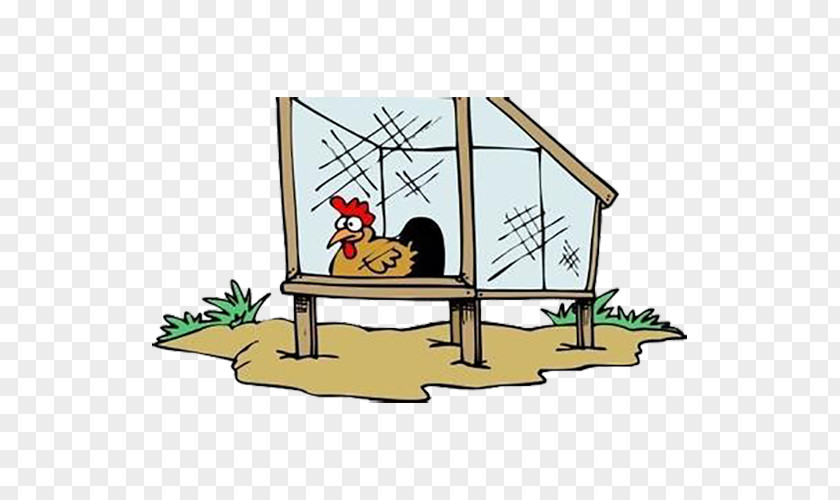 Cartoon Big Cock Orpington Chicken Coop Definition Cooperative Farm PNG