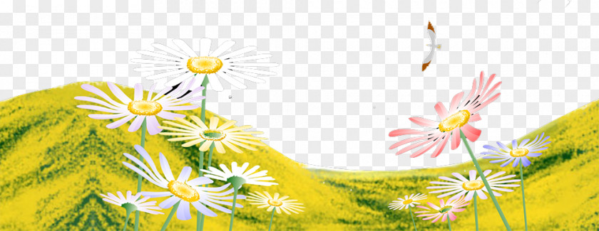 Chrysanthemum Yellow Floral Design Illustration PNG