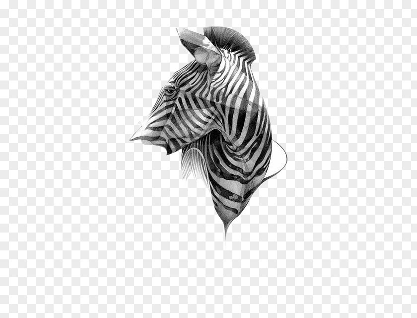 Creative Zebra Graphic Design Poster Drawing PNG