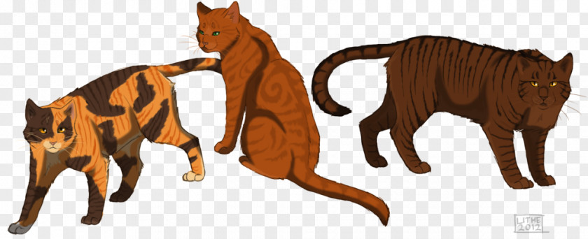 Firestar Cat Warriors Brambleclaw Leafpool Squirrelflight PNG