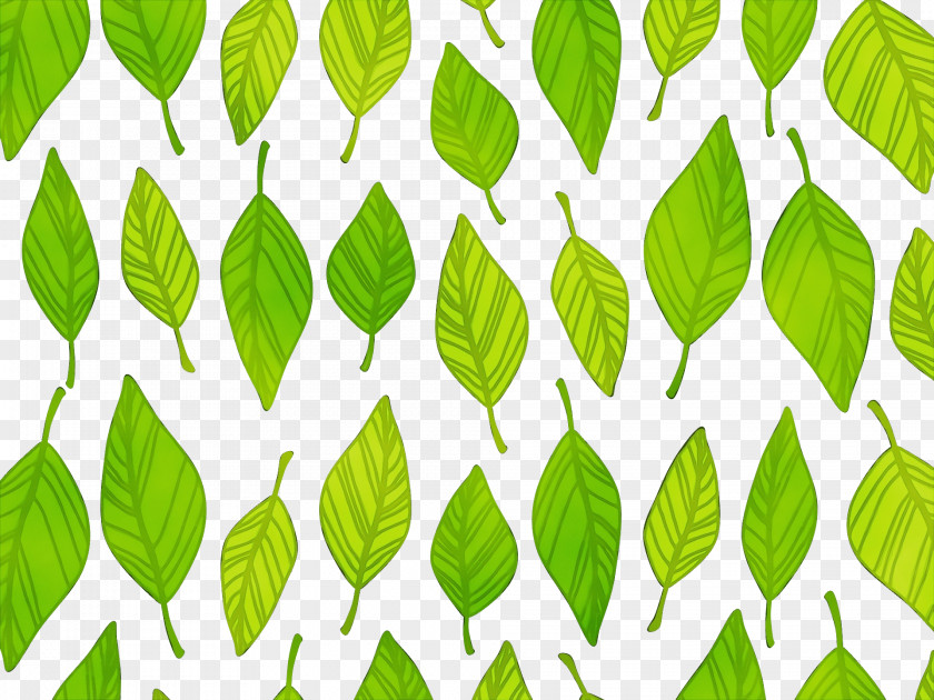 Leaf Green Pattern Plant Tree PNG