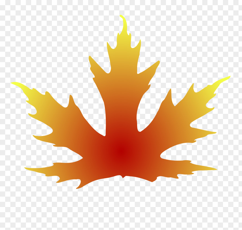 Maple Leaf Silhouette Autumn Color Clip Art PNG