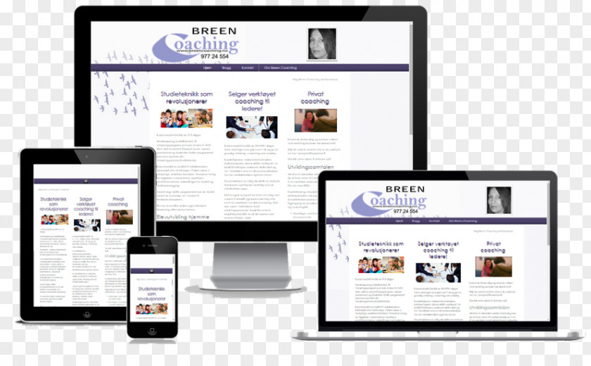 Breen Responsive Web Design Search Engine Optimization Click-through Rate Affiliate Marketing Website PNG