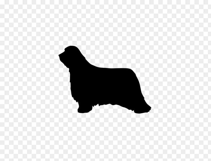 Dog Breed Dachshund Dandie Dinmont Terrier Miniature Pinscher Chihuahua PNG