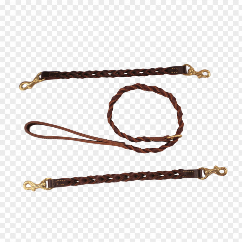 Dog Leash Coyote Latigo Leather PNG