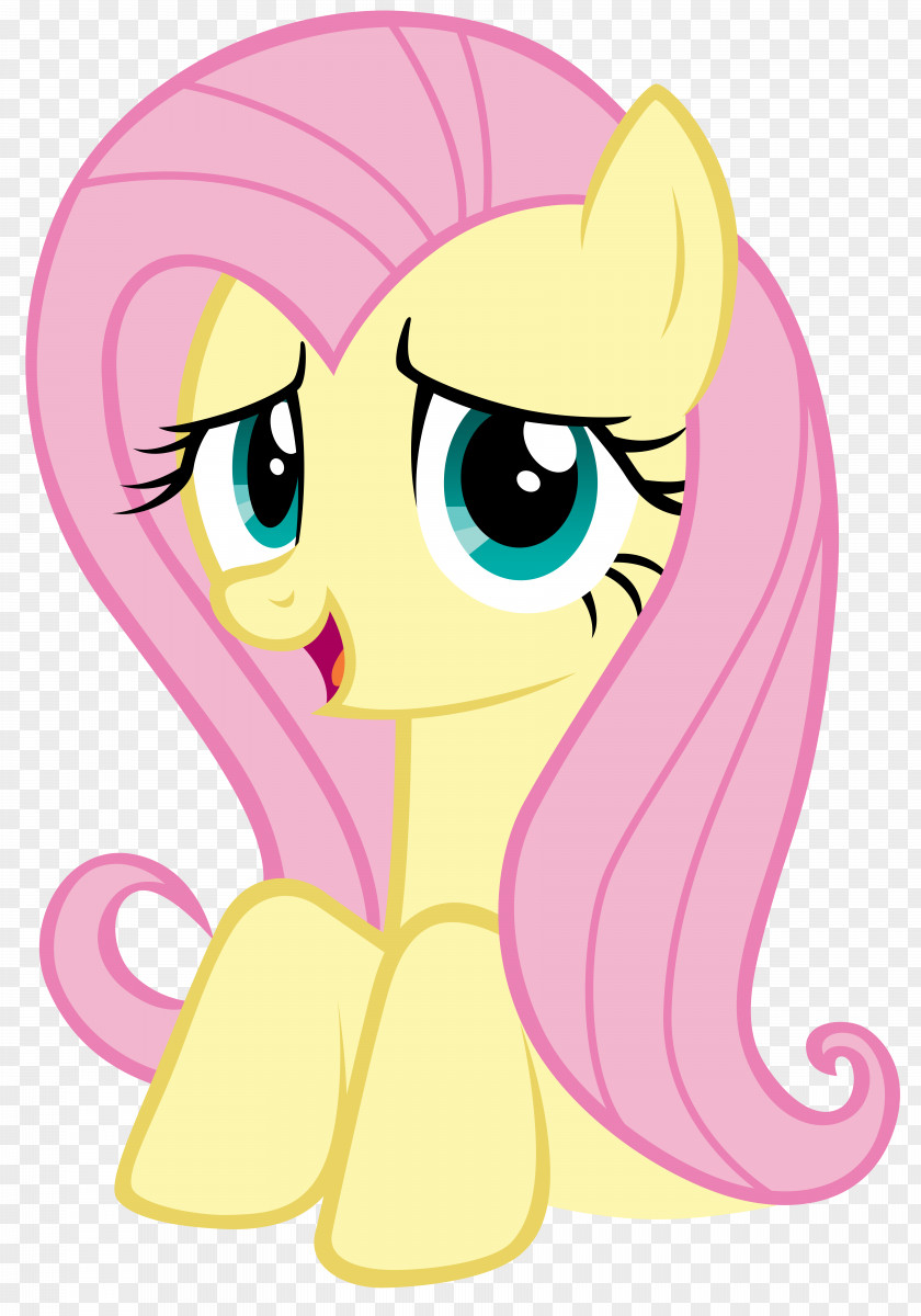 Fluttershy Flag Pinkie Pie Whiskers Photograph Twilight Sparkle PNG