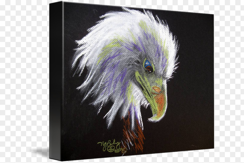Nancy Pearl Bald Eagle Gallery Wrap Beak Canvas Art PNG