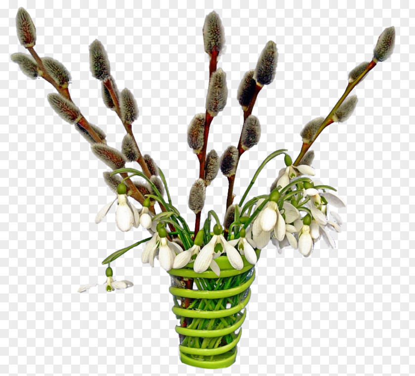Vase Bud Flowers Background PNG