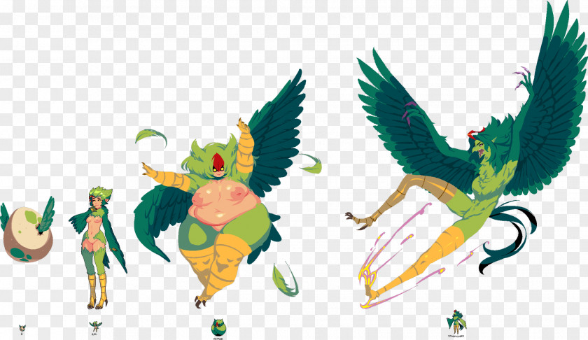 Animation Wing Bird PNG
