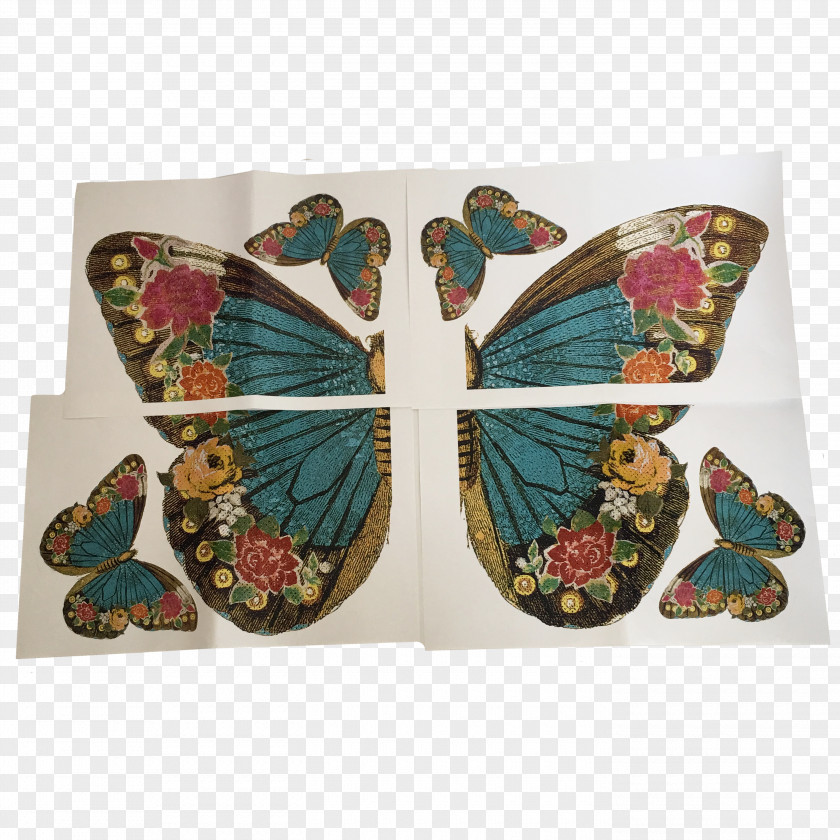 Butterfly Collage Canvas PNG