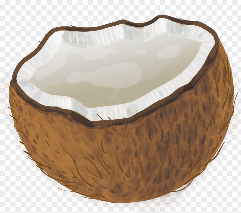 Hand Drawn Coconut Vector Diagram Milk PNG